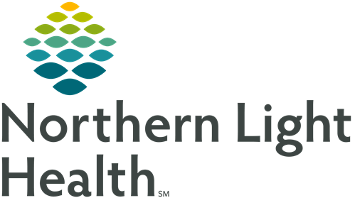 Northern light health